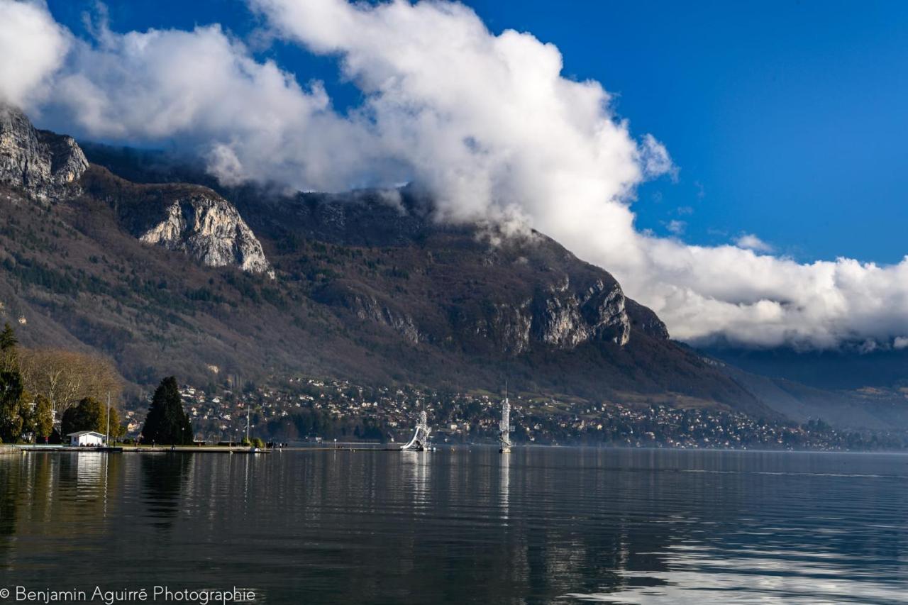 Les Mouettes Du Lac N2 - Grand Studio 500 M From Lake Annecy Eksteriør billede